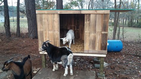Goat house. Things To Know About Goat house. 