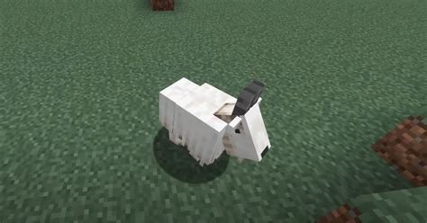 Goat minecraft.  Goats are a source of Goat horns and milk, making them u...