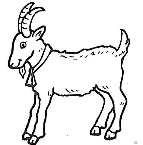 Goats To Draw