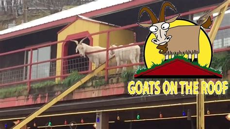 Goats on the roof. Aug 28, 2022 · Does taking a long lift way up into the Smoky Mountains and speeding back down to feed some goats sound like a good time to you? We loved our experience at ... 