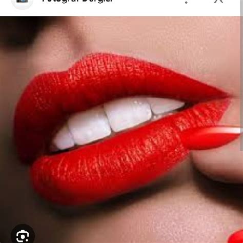 Gobekoren Halı ve Koltuk Yıkama