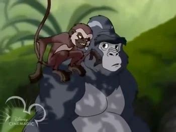 Gobu Halı ve Koltuk Yıkama