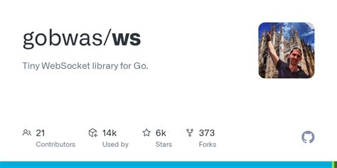 Gobwas vs gorilla.  I'm currently using gobwas but the connection setup is often...