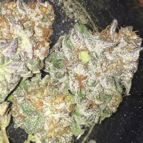 Ogre Breath is an indica-dominant weed strain bred by 808 Genetics and made from a genetic cross of GMO x Meat Breath. This is a “rank and fabulous” that reeks of onions, pungent cheese, and beef.. 