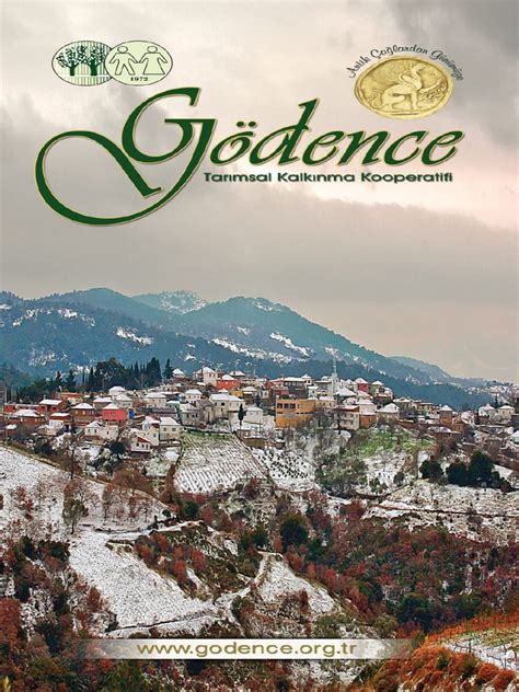 Godence Halı ve Koltuk Yıkama