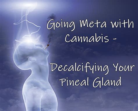 Going Meta with Cannabis - Decalcifying Your …