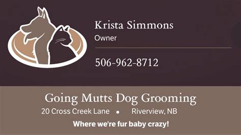 Going Mutts Pet Grooming - MapQuest