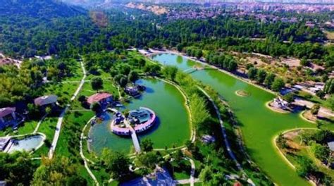 Gokcay Halı ve Koltuk Yıkama