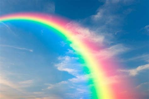 Gokkusagi Halı ve Koltuk Yıkama