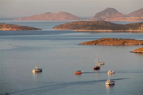Gokova Halı ve Koltuk Yıkama