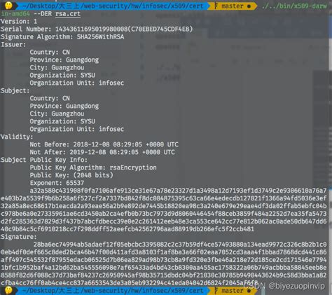 Golang x509 fingerprint.  On UNIX systems the environment variables SS...