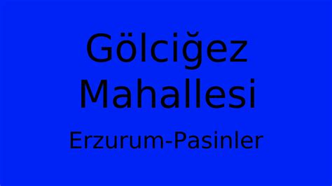 Golcigez Halı ve Koltuk Yıkama