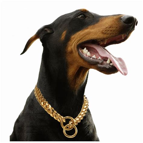 Gold Dog Cuban Chain - Etsy