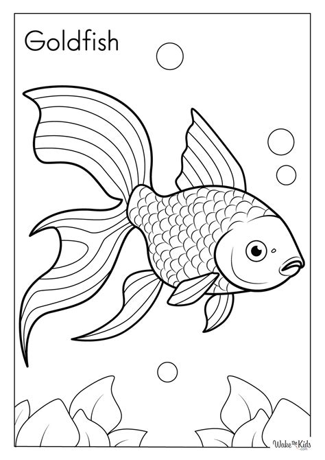 Coloring Book Album Art