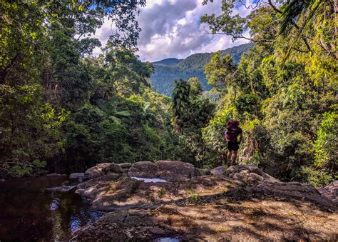 Gold creek lookout. .  <a href=https://cons-teh.ru/c97g/nashua-nh-inmat...