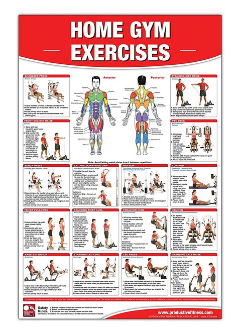Gold gym weight system exercise guide. - Un libro di testo di ginecologia.