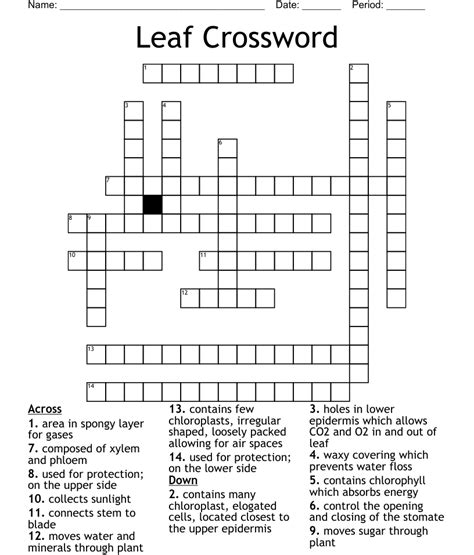 The Crossword Solver found 30 answers to "romaine salad leaf&q