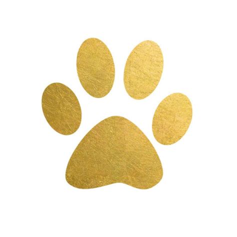 Gold paw. Things To Know About Gold paw. 