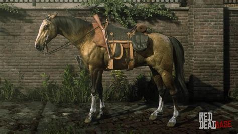 Gold turkoman. The Gold Dapple coat is unavailable for players. It's a unique coat for Sadie's horse. You can only get the regular golden Turk from the Saint Denis stables. Edit: it's possible to spawn it with the lasso glitch in an unpatched game but even then, you can't stable it and make it yours. Same with any of the other gang horses, unfortunately. 