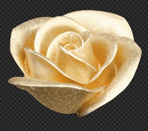 Gold_Rose Leaked 🍌 (SEX)