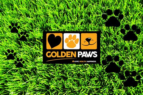 Golden Paws Ashburton Ashburton - sr-rs.facebook.com