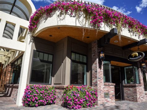 Golden bear vail. The Golden Bear, 183 Gore Creek Dr, Ste 3A, Vail, CO 81657: See 16 customer reviews, rated 3.8 stars. Browse photos and find all the information. 
