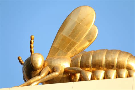 Golden bee. Golden Bee: Level 10 - 300 HP Varying MP Varying EXP Varying Attack Varying Defense Rate PDR: Varying % MDR: Varying % Speed 20 (flying) Additional Points None Elements: Fire Neutral Ice Neutral Poison Neutral Lightning Neutral Holy Neutral Dark Neutral Physical Neutral Undead? No Other: Category Mammal Equipment Drops 