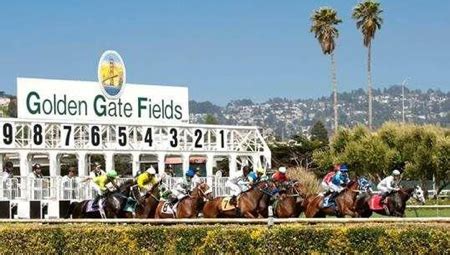 Golden Gate Entries & Results for Thursday, May 4, 2023. Golden Gate Fields opened in 1941 and today is the only track in the San Francisco area. Famous legends Silky Sullivan and Lost in the Fog are buried in the infield. Golden Gate Fields biggest stakes: San Francisco Mile, El Camino Real Derby. Get Expert Golden Gate …. 
