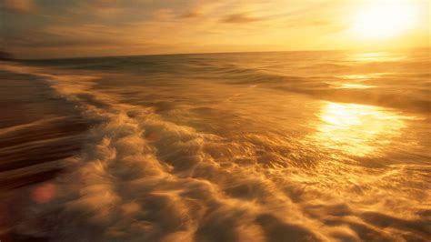 Golden ocean. Things To Know About Golden ocean. 