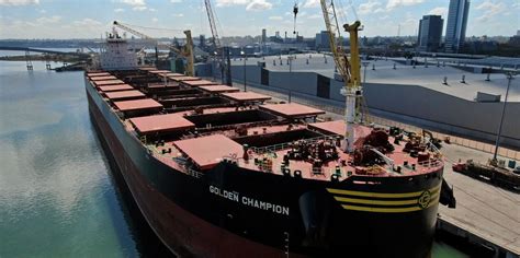 Golden Ocean Group Limited specializes in dry bulk maritime transport (coal, grains, minerals, etc.). As of 31/12/2022, the group operated a fleet of 93 vessels (including 74 owned).. 
