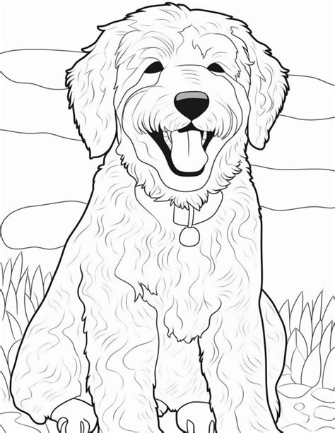 Free printable Realistic Goldendoodle coloring page, easy to print from any device and automatically fit any paper size. All Coloring Pages » Animals » Mammals » Goldendoodle » Realistic Goldendoodle. 