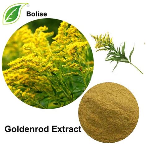 Goldenrod Extract - Mountain Rose Herbs