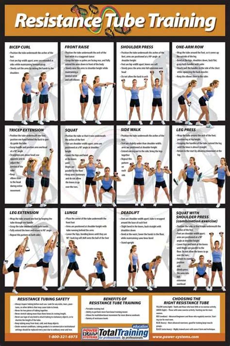 Golds Gym Pull Up Bar Workout Chart Chart Walls