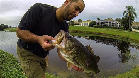 Golf Course Fishing - Fishing Reports - Bass Fishing Forums