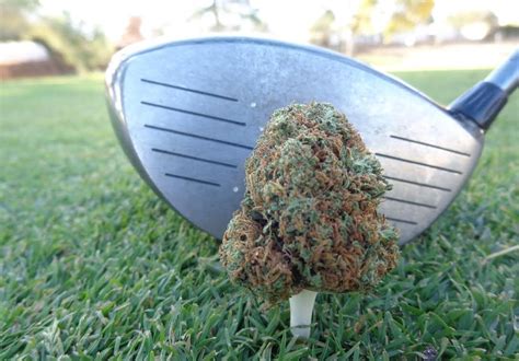 Golf and weed: Players who want to score low first get …