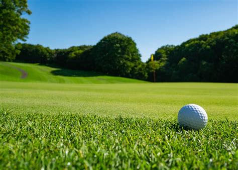 Golf course grass. A wide variety exists between the average distances that can be expected from each golf club, as well as between individual golfers. The longest distances on the golf course are be... 