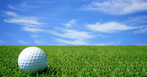 Golf grass. Ultradwarf Bermudagrass Greens – Past, Present, and Future. Just as the game of golf has evolved over the years, putting green turfgrasses have ... 