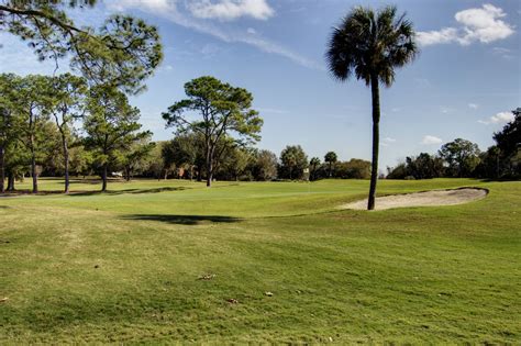 Top 10 Best Public Golf Courses in Gainesville, FL - May 2024 - Yelp - Turkey Creek Golf and Country Club, Ironwood Golf Course, Meadowbrook Golf Club, Haile Plantation Golf & Country Club Tennis Center, Gator Junior Golf Association, The Finishing Hole At Plantation Oaks Golf Club