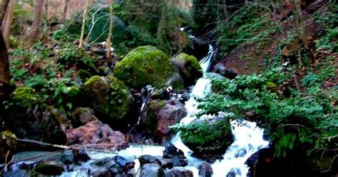 Golkaya Halı ve Koltuk Yıkama