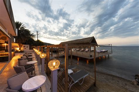 Golkoy Halı ve Koltuk Yıkama