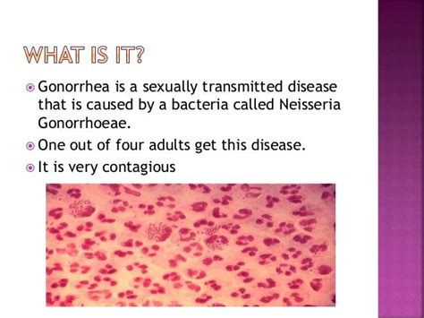 Gonorrhoea - SlideShare