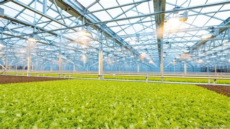 Goochland’s Greenswell Growers seeing ‘exceptional growth’