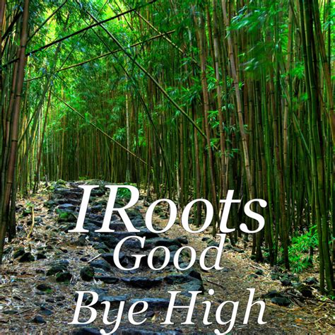 Good Bye High - Single by IRoots Spotify