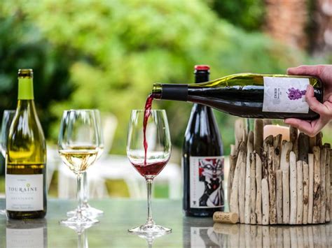 Good Company: Dry Farm Wines’ Biodynamic Bottles Barron