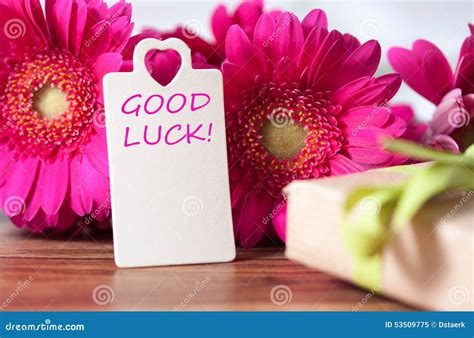 Good Luck Flowers to Wish Happiness & Success to Dear Ones