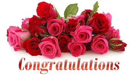 Good Morning Email: Best Congratulations Wishes