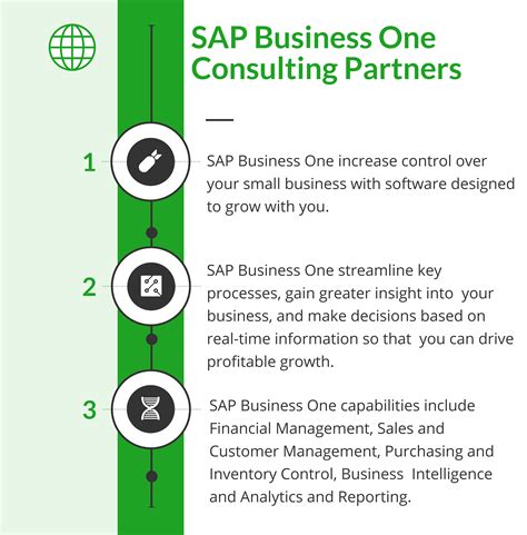 Good SAP Business One portables
