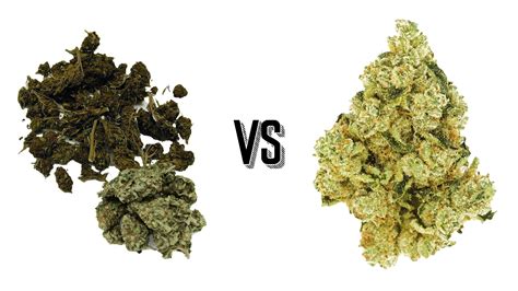 Good Weed Vs Bad Weed: What’S The Difference? (For Newbies)