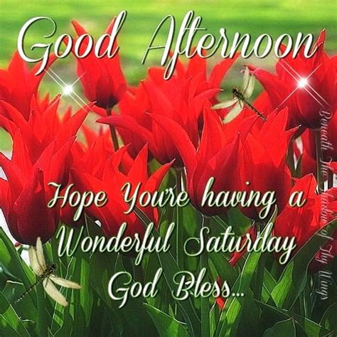 Good afternoon happy saturday. Happy Saturday Wishes. Good morning! Wishing you a delightful Saturday ahead, filled with love, laughter, and happiness. Rise and shine on this lovely Saturday morning! Let’s seize the day and make it count. Saturday doesn’t bring good vibes. Saturday IS good vibes. Have an amazing day! 