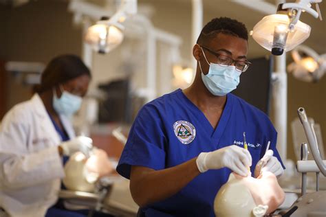 Good dental schools in us. Would-be dentists should focus their coursework on science courses, including chemistry and biology, prior to entering dental school, notes the U.S. Bureau of Labor and Statistics. 